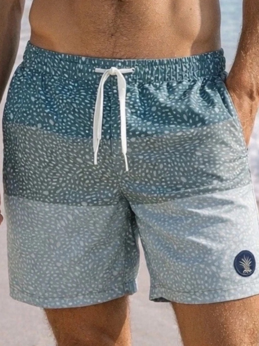 The Whale Sharks Classic Swim Trunks by Chubbies